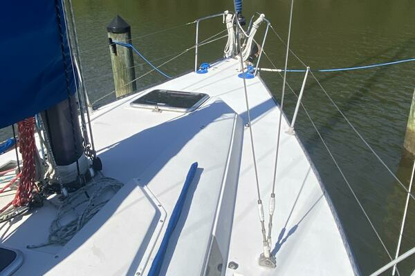 Photo of the 1984 Express Fast Performance