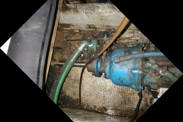 Photo of the 1977 Trojan 