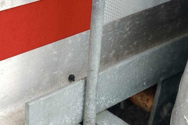 Photo of the 2002 Angler 