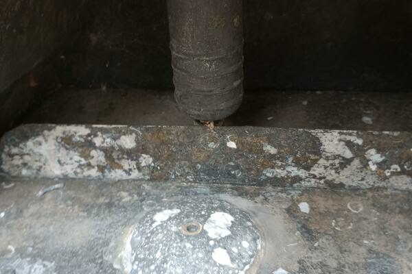 Photo of the 1990 Formula 