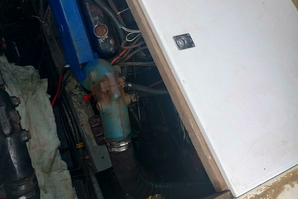 Photo of the 1970 Jersey 