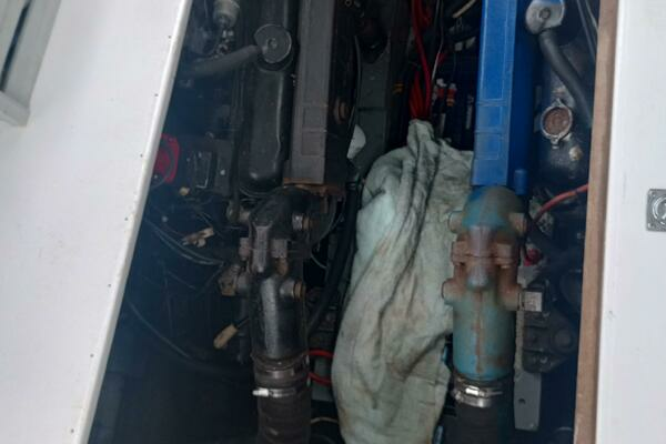 Photo of the 1970 Jersey 