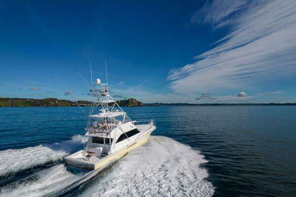 Photo of the 2002 Viking Convertible "Alive and Kicking"