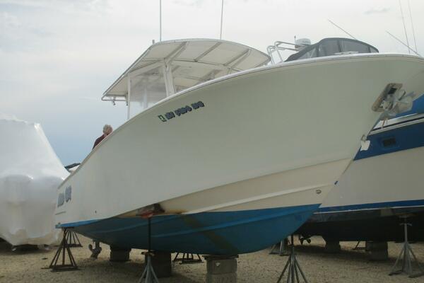 Wild Cat 28ft Southport Yacht For Sale