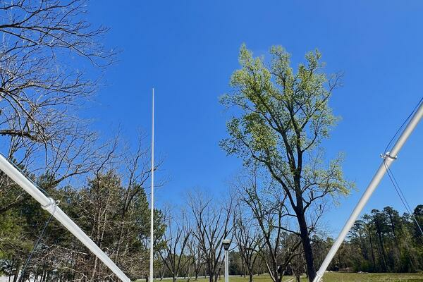 Photo of the 2018 Sea Hunt 30 Game Fish