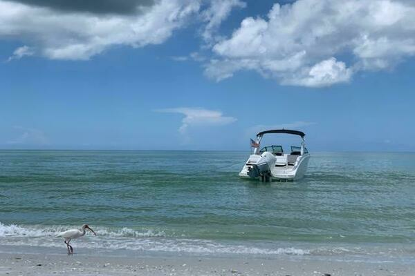 Photo of the 2019 Sea Ray SDX 270 Outboard