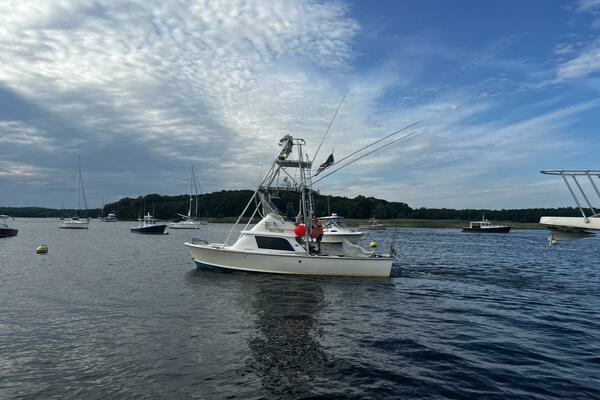 Photo of the 1975 Bertram 31 "LITTLE EVA"