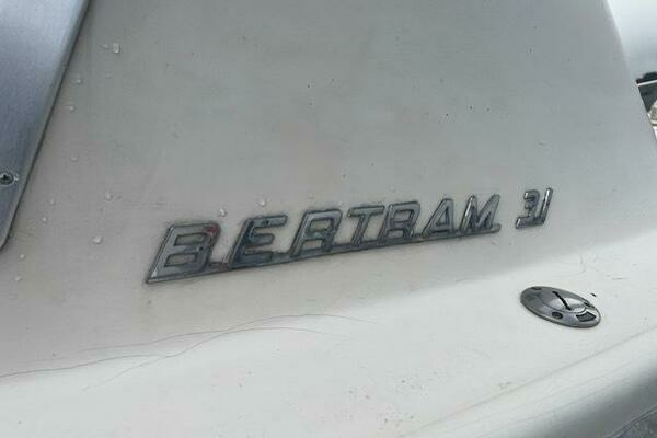 Photo of the 1975 Bertram 31 "LITTLE EVA"