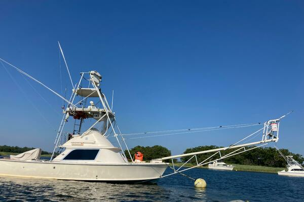 Photo of the 1975 Bertram 31 "LITTLE EVA"