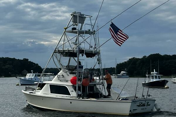 Photo of the 1975 Bertram 31 "LITTLE EVA"