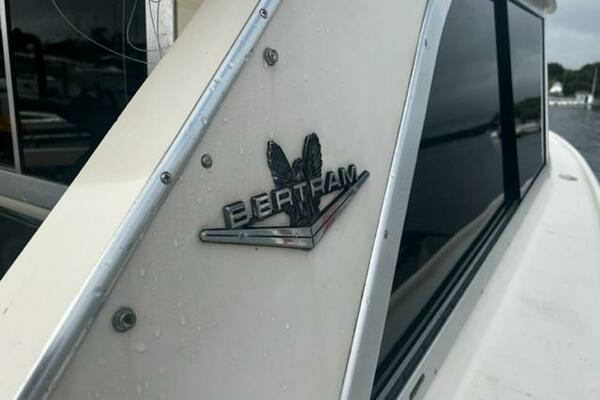 Photo of the 1975 Bertram 31 "LITTLE EVA"