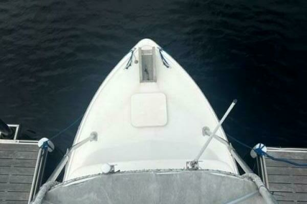 Photo of the 1975 Bertram 31 "LITTLE EVA"