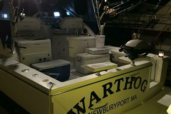 Photo of the 2000 Wellcraft Coastal "WARTHOG"