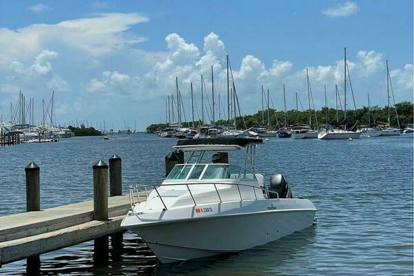 Photo of the 1993 Fountain Walk Around