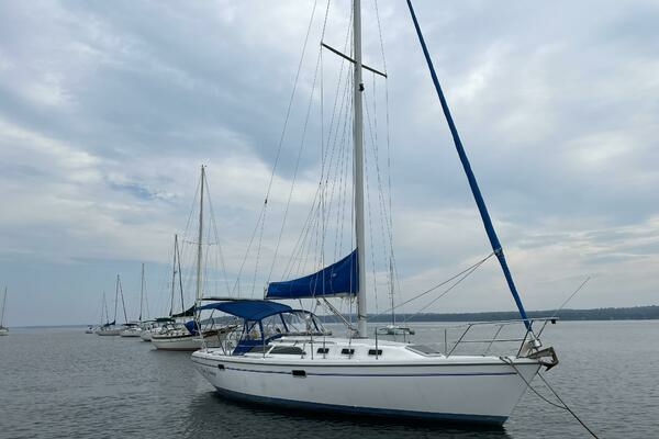 Photo of the 1999 Catalina  "COOL CHANGE"