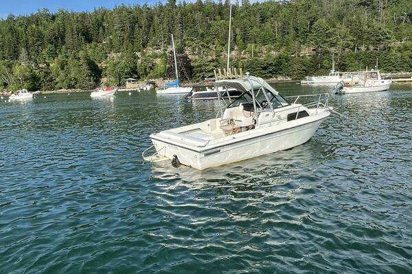 Photo of the 1993 Sport-Craft 202 "Skipper Dee"