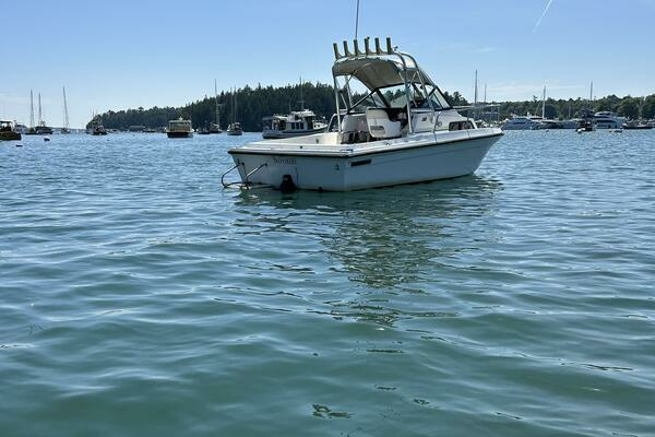 Photo of the 1993 Sport-Craft 202 "Skipper Dee"