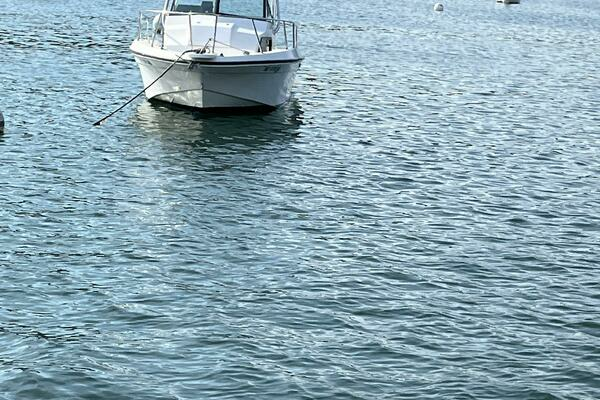 Photo of the 1993 Sport-Craft 202 "Skipper Dee"