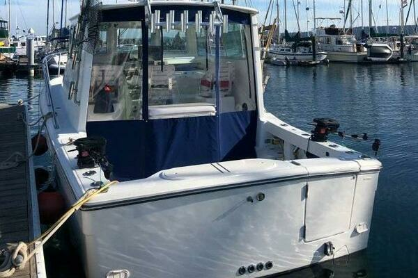 Photo of the 2001 Rampage 30 Express