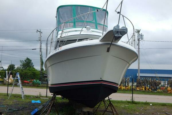 Greener Pastures 28ft Carver Yacht For Sale