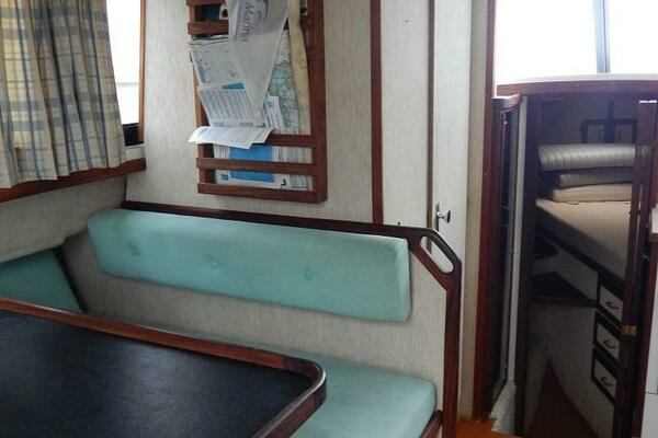 Greener Pastures 28ft Carver Yacht For Sale