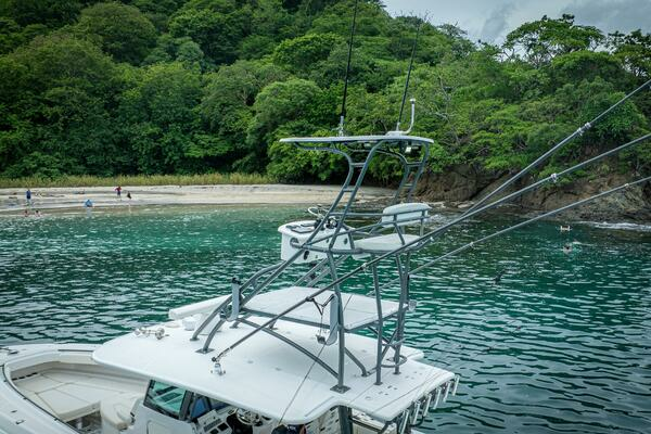 Photo of the 2018 HCB 