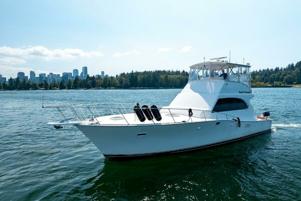 Photo of the 1985 Post 46 Convertible