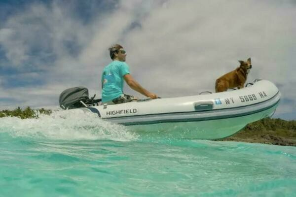 Photo of the 2025 Highfield Classic 290