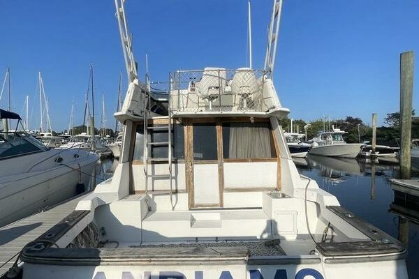 Photo of the 1987 Bayliner 3460 "Andiamo"
