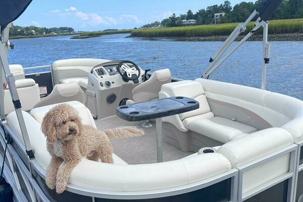 Photo of the 2017 Bennington 22SSRX