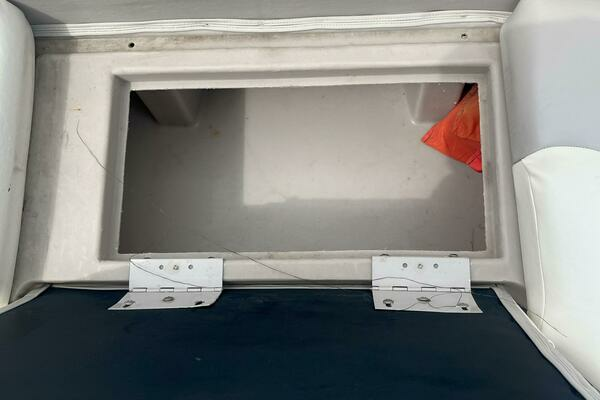 Photo of the 2017 Bennington 22SSRX