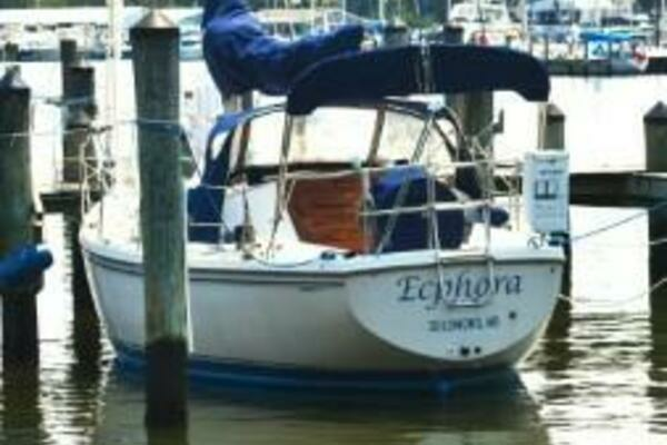 Photo of the 1988 Catalina  "Ecphora"