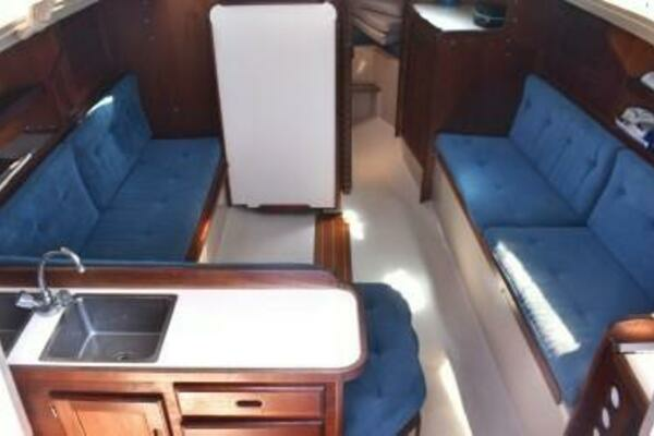 Photo of the 1988 Catalina  "Ecphora"