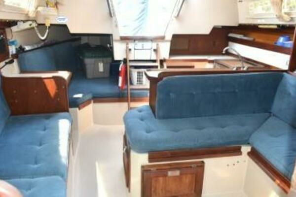 Photo of the 1988 Catalina  "Ecphora"