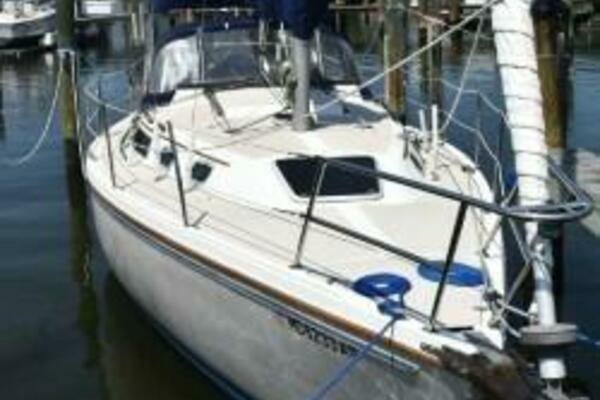 Photo of the 1988 Catalina  "Ecphora"