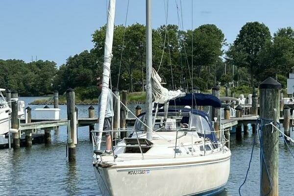 Photo of the 1988 Catalina  "Ecphora"