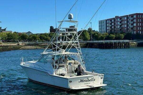 1996 Tiara Yachts 43