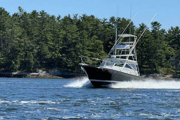 Photo of the 1993 Black Watch 33 "SKYFALL"