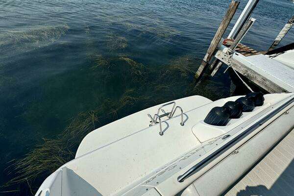 Photo of the 1995 Sea Ray Express Cruiser