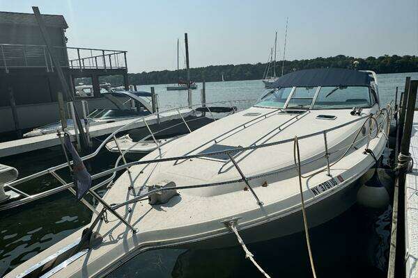 Photo of the 1995 Sea Ray Express Cruiser
