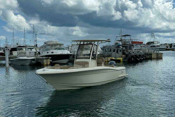 Photo of the 2023 Scout 215 XSF