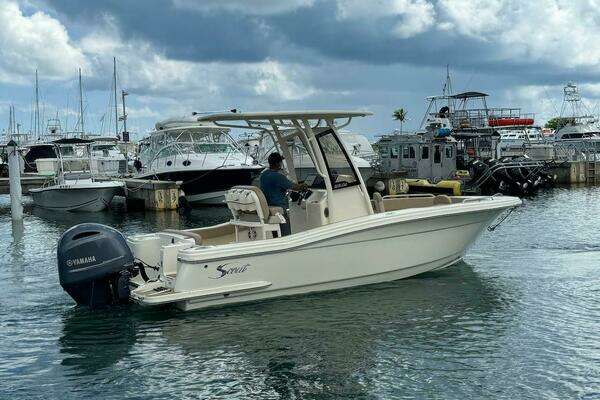 Photo of the 2023 Scout 215 XSF