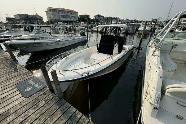 Photo of the 2023 Boston Whaler 250 Dauntless
