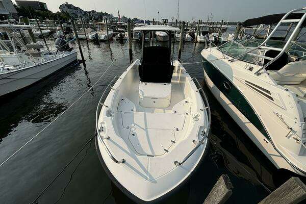 Photo of the 2023 Boston Whaler 250 Dauntless