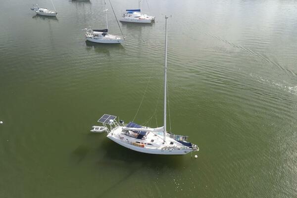 Shasta 45ft Freedom Yacht For Sale