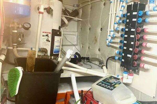 2000 Custom Carolina 56