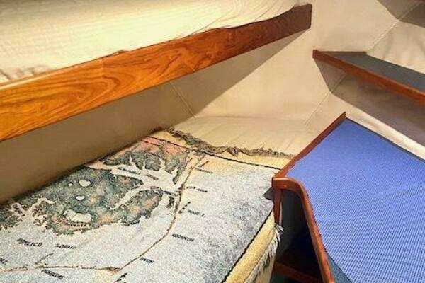 2000 Custom Carolina 56