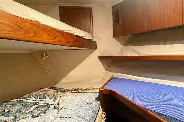 2000 Custom Carolina 56