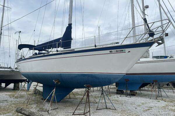 Photo of the 1985 Morgan 384