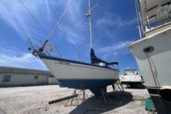 Photo of the 1985 Morgan 384